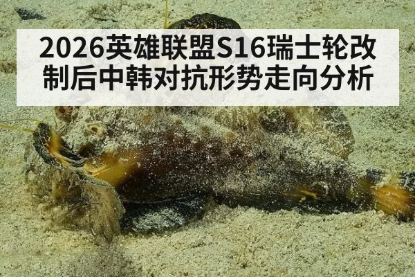 2026英雄联盟S16瑞士轮改制后中韩对抗形势走向分析